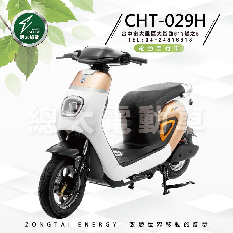 2020-fb-cht-029h-01-1